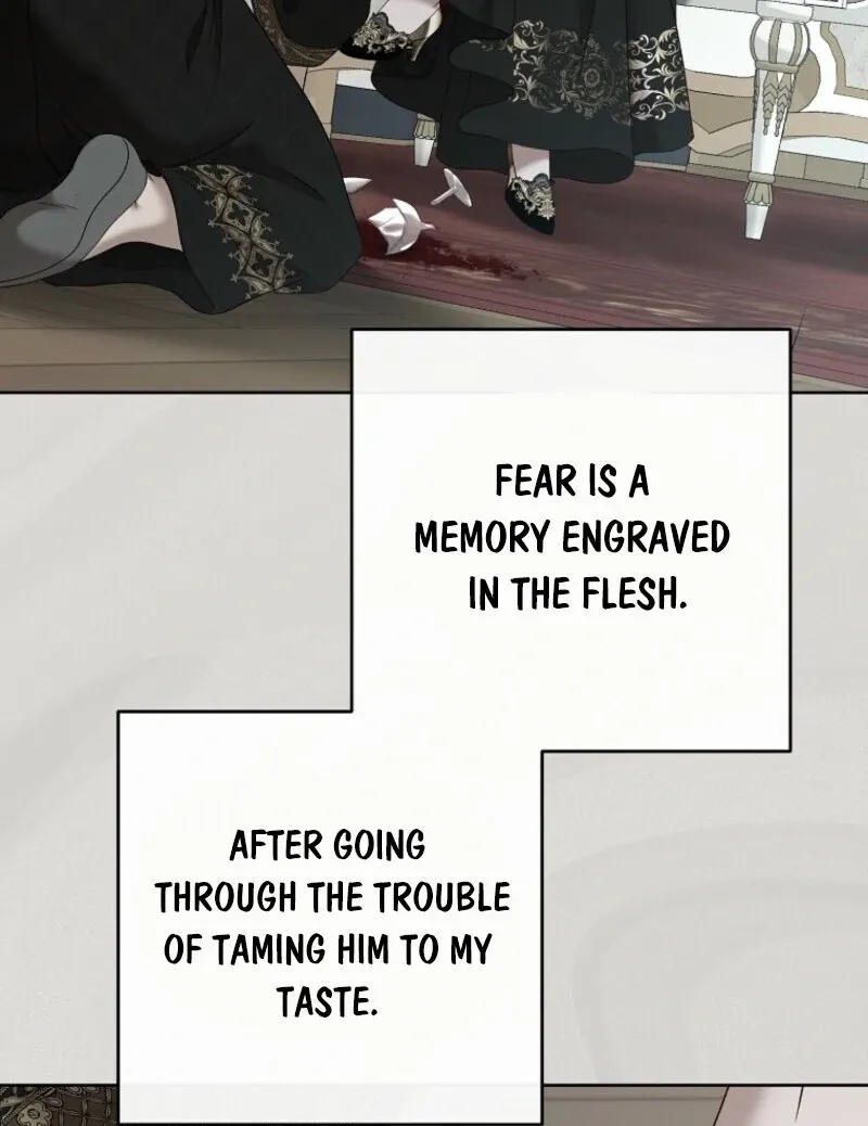 It Looks Like I’Ve Fallen Into The World Of A Reverse Harem Game - Chapter 157 Page 121