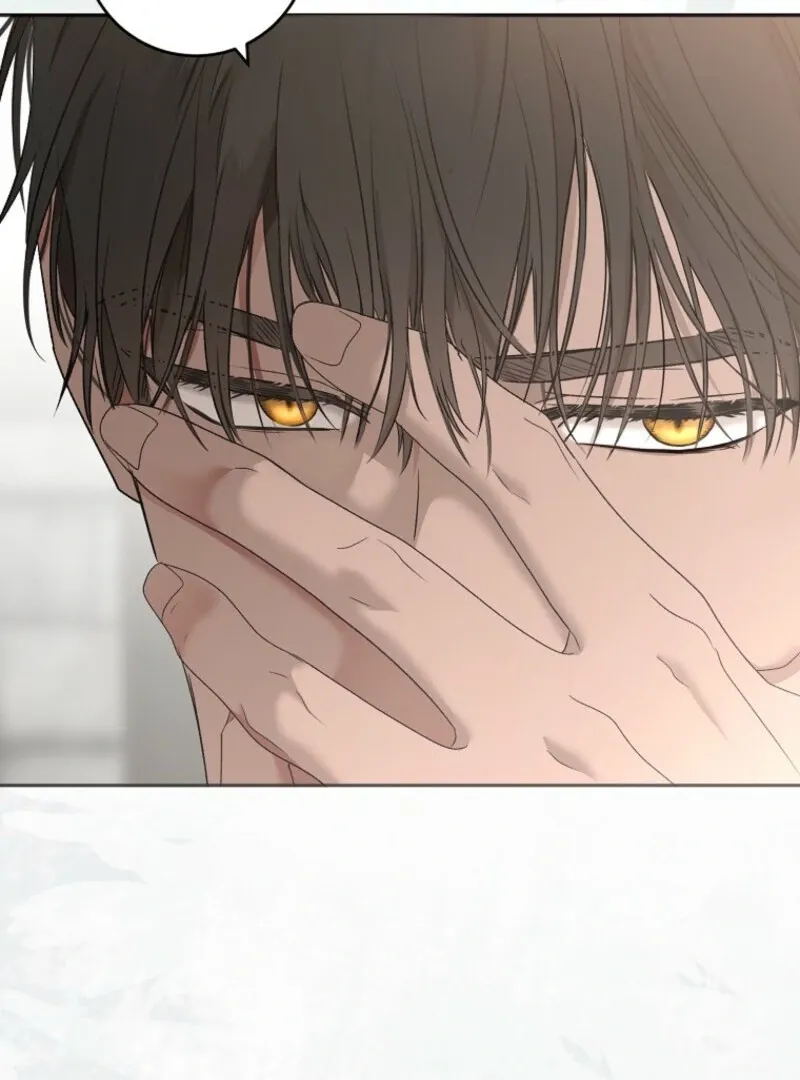 It Looks Like I’Ve Fallen Into The World Of A Reverse Harem Game - Chapter 157 Page 131