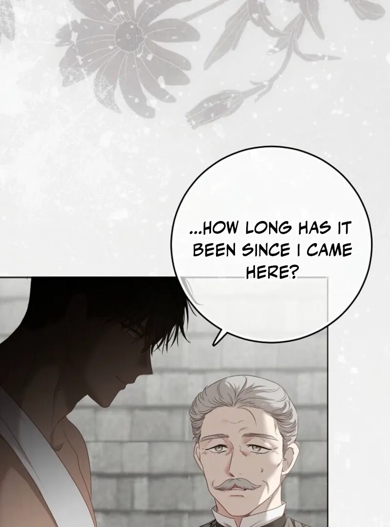 It Looks Like I’Ve Fallen Into The World Of A Reverse Harem Game - Chapter 157 Page 140