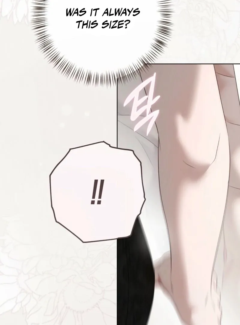It Looks Like I’Ve Fallen Into The World Of A Reverse Harem Game - Chapter 158 Page 70