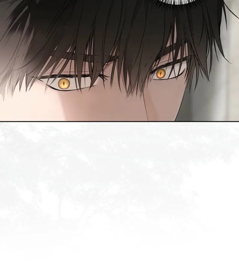 It Looks Like I’Ve Fallen Into The World Of A Reverse Harem Game - Chapter 159 Page 43