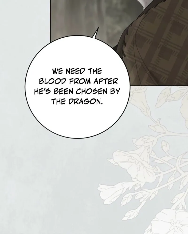 It Looks Like I’Ve Fallen Into The World Of A Reverse Harem Game - Chapter 162 Page 56