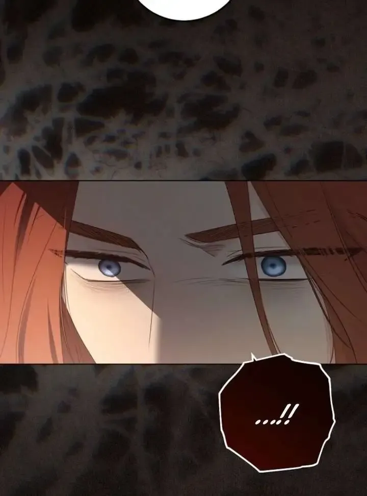 It Looks Like I’Ve Fallen Into The World Of A Reverse Harem Game - Chapter 166 Page 101