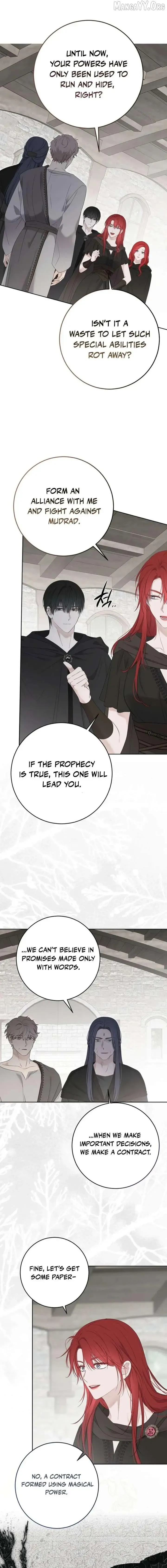 It Looks Like I’Ve Fallen Into The World Of A Reverse Harem Game - Chapter 171 Page 12