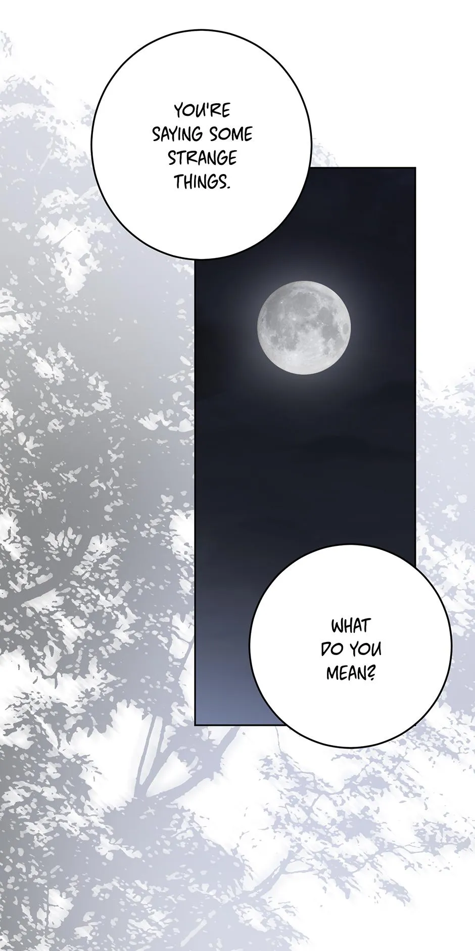 It Looks Like I’Ve Fallen Into The World Of A Reverse Harem Game - Chapter 182 Page 81