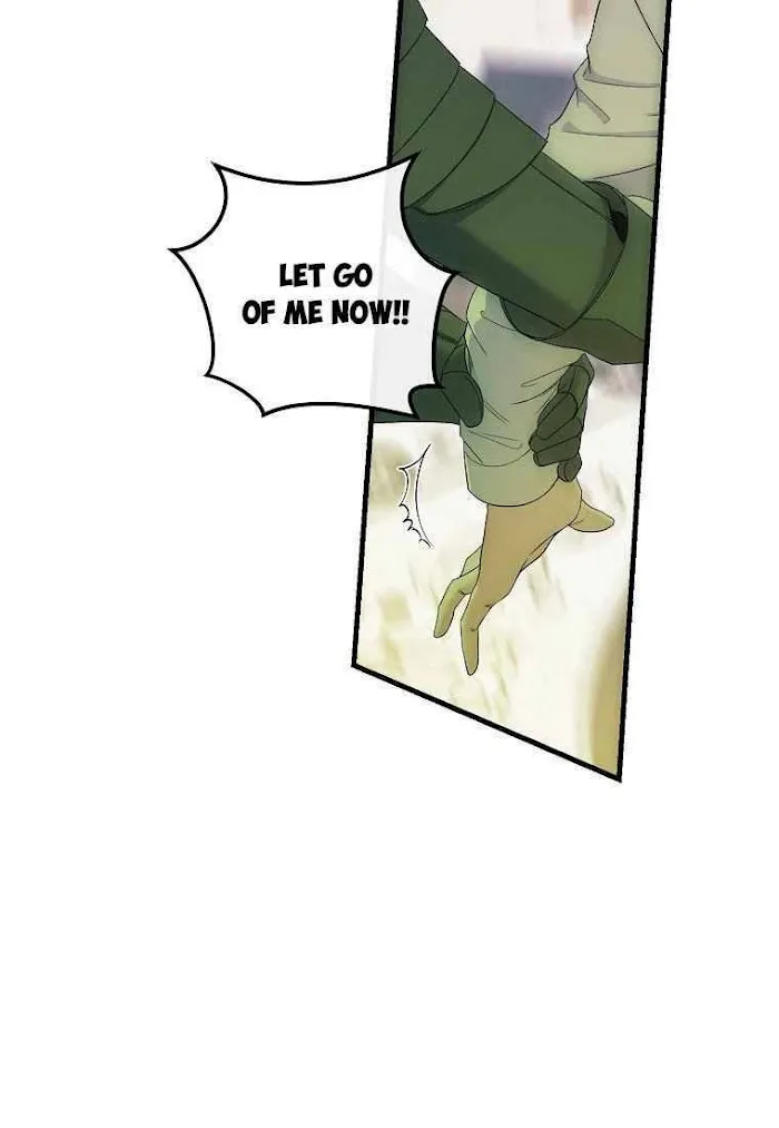 It Looks Like I’Ve Fallen Into The World Of A Reverse Harem Game - Chapter 57 Page 65