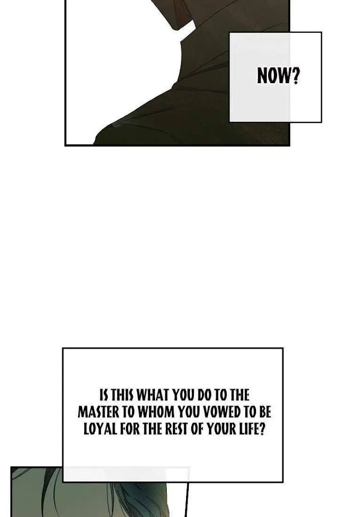 It Looks Like I’Ve Fallen Into The World Of A Reverse Harem Game - Chapter 57 Page 74