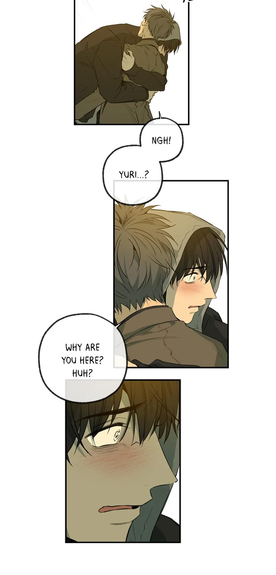 Form Of Sympathy - Chapter 75.37 Page 4