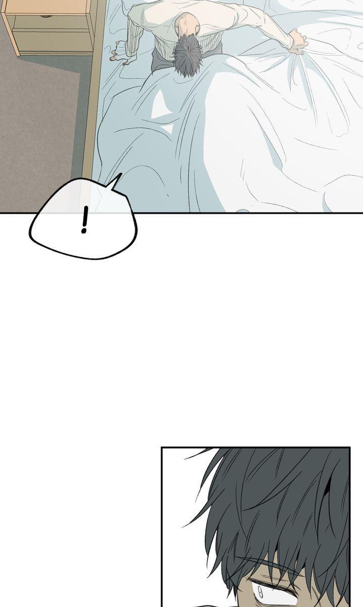 Form Of Sympathy - Chapter 80 Page 37