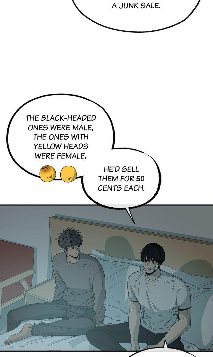 Form Of Sympathy - Chapter 85 Page 17