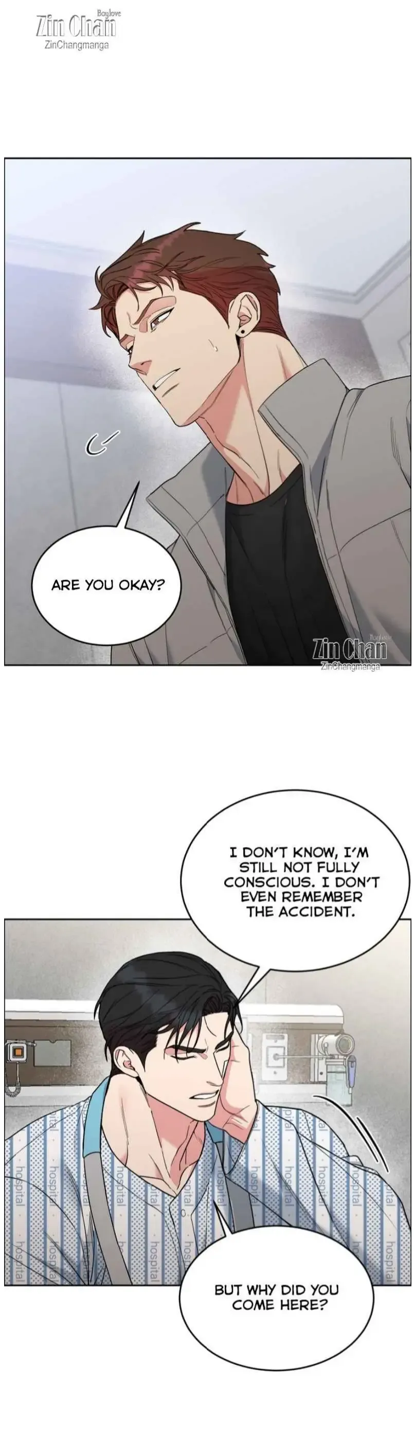 Dog And Bird - Chapter 72 Page 12