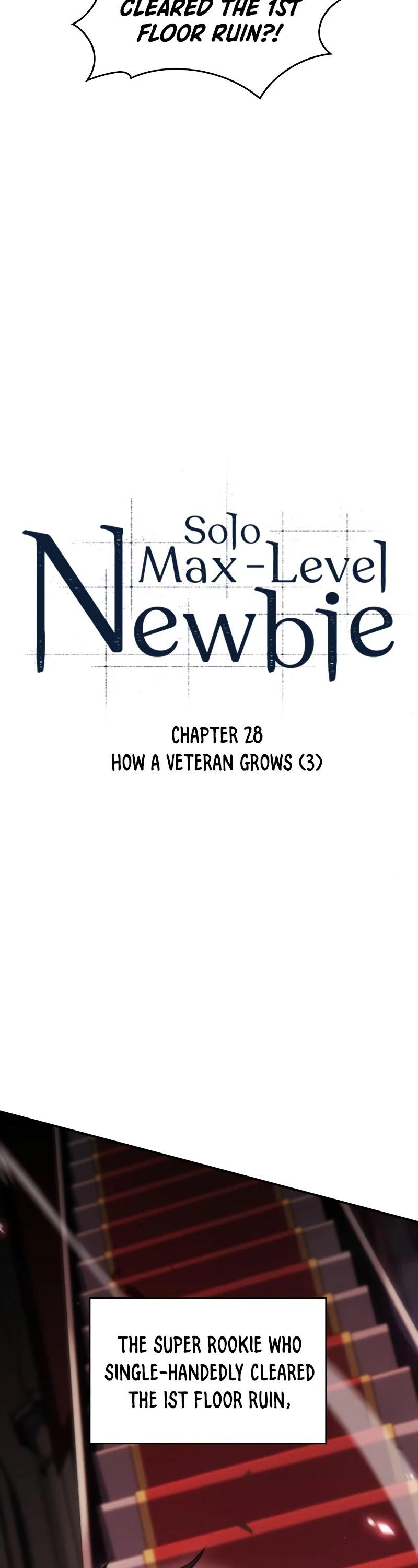 Solo Max-Level Newbie - Chapter 28 Page 6
