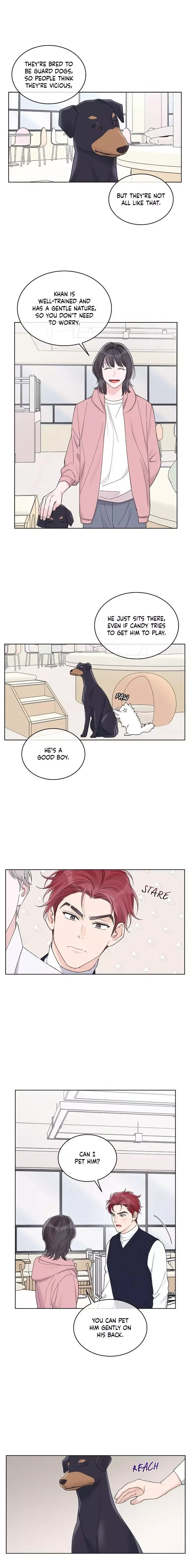 Monochrome Rumor - Chapter 68 Page 5