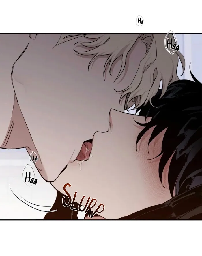 Roses and Champagne - Chapter 29 Page 4
