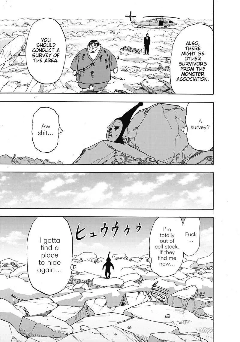 One Punch Man - Chapter 171 Page 19