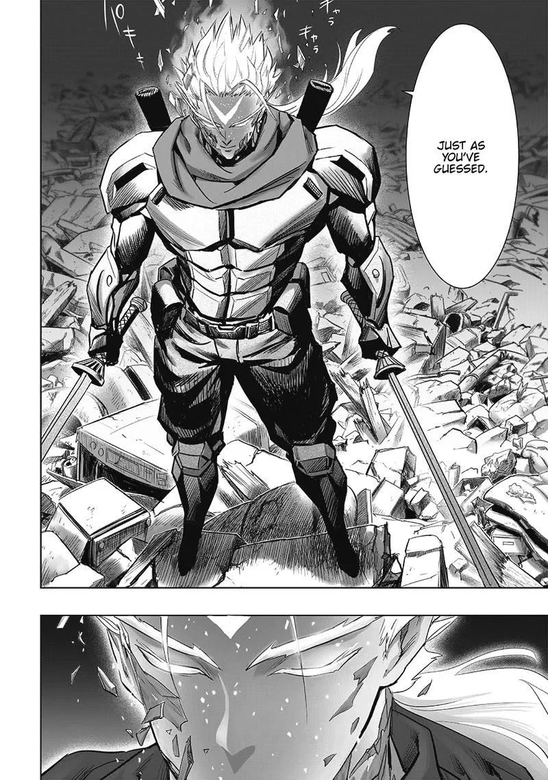 One Punch Man - Chapter 208 Page 4