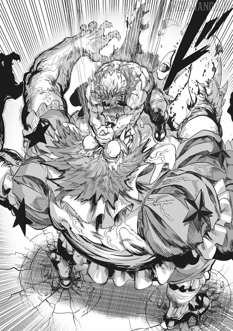 One Punch Man - Chapter 217 Page 13