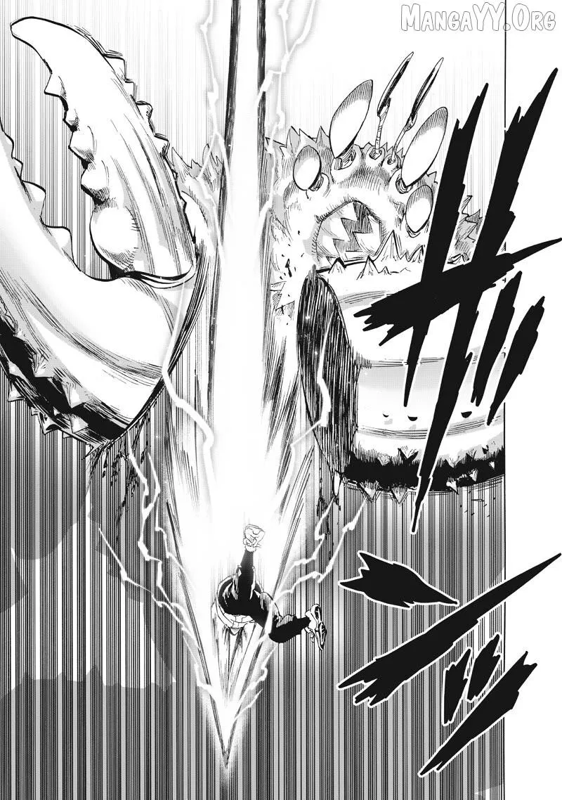 One Punch Man - Chapter 225 Page 11