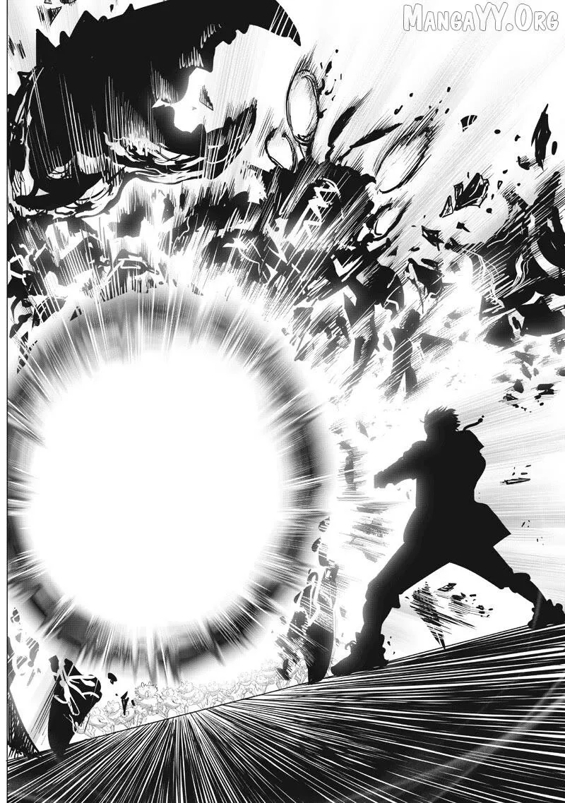 One Punch Man - Chapter 225 Page 14