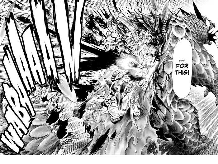 One Punch Man - Chapter 61.5 Page 26