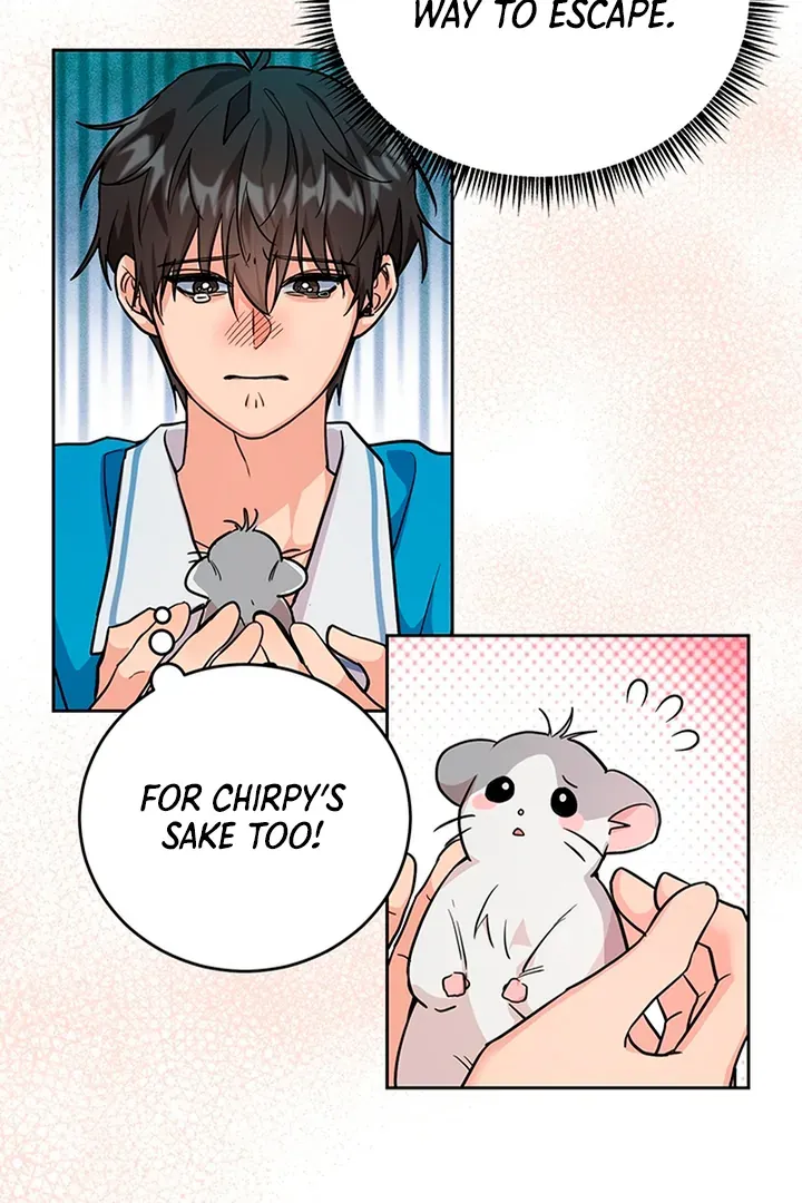 My Rat Is An S-Class Awakener - Chapter 1 Page 84
