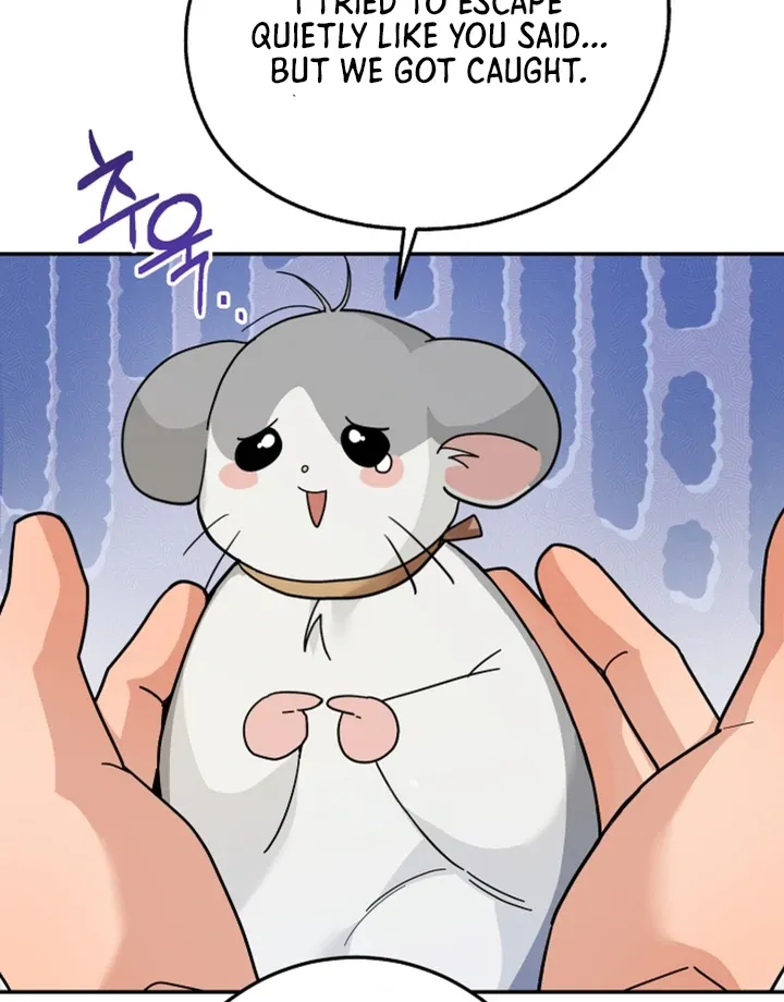 My Rat Is An S-Class Awakener - Chapter 11 Page 17