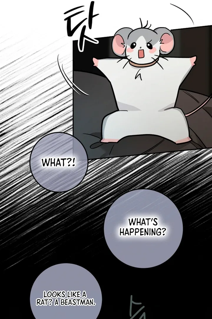 My Rat Is An S-Class Awakener - Chapter 14 Page 90