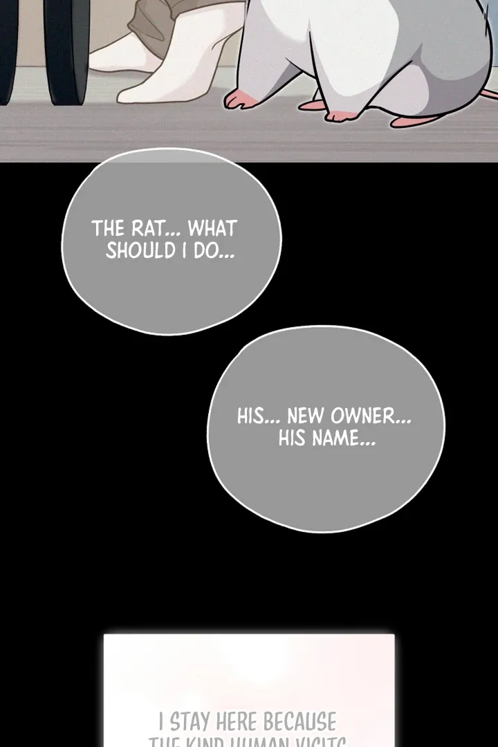 My Rat Is An S-Class Awakener - Chapter 16 Page 13