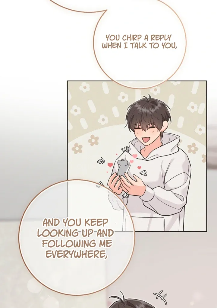 My Rat Is An S-Class Awakener - Chapter 17 Page 41