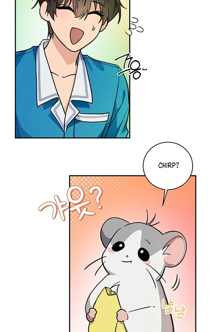 My Rat Is An S-Class Awakener - Chapter 2 Page 51