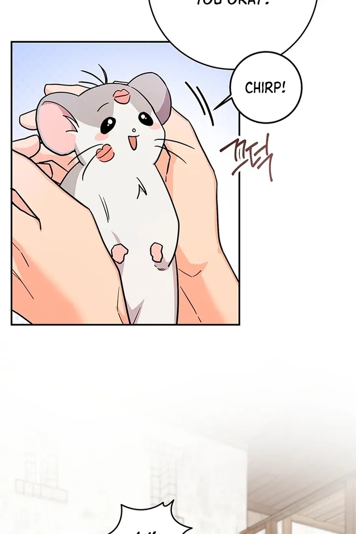 My Rat Is An S-Class Awakener - Chapter 3 Page 8