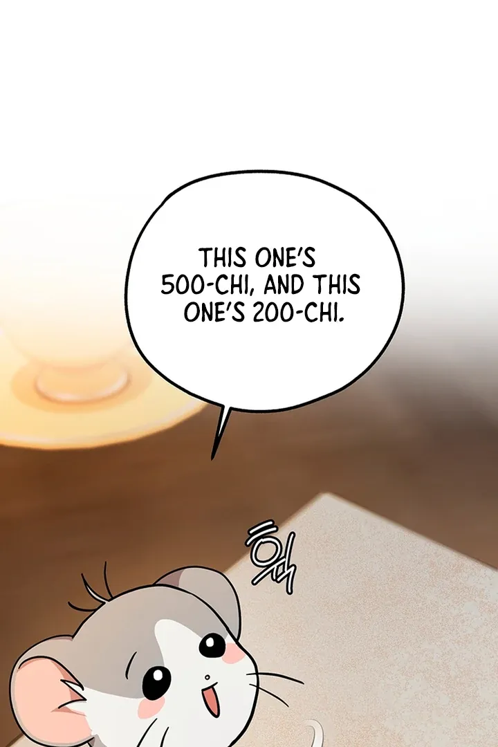 My Rat Is An S-Class Awakener - Chapter 3 Page 77
