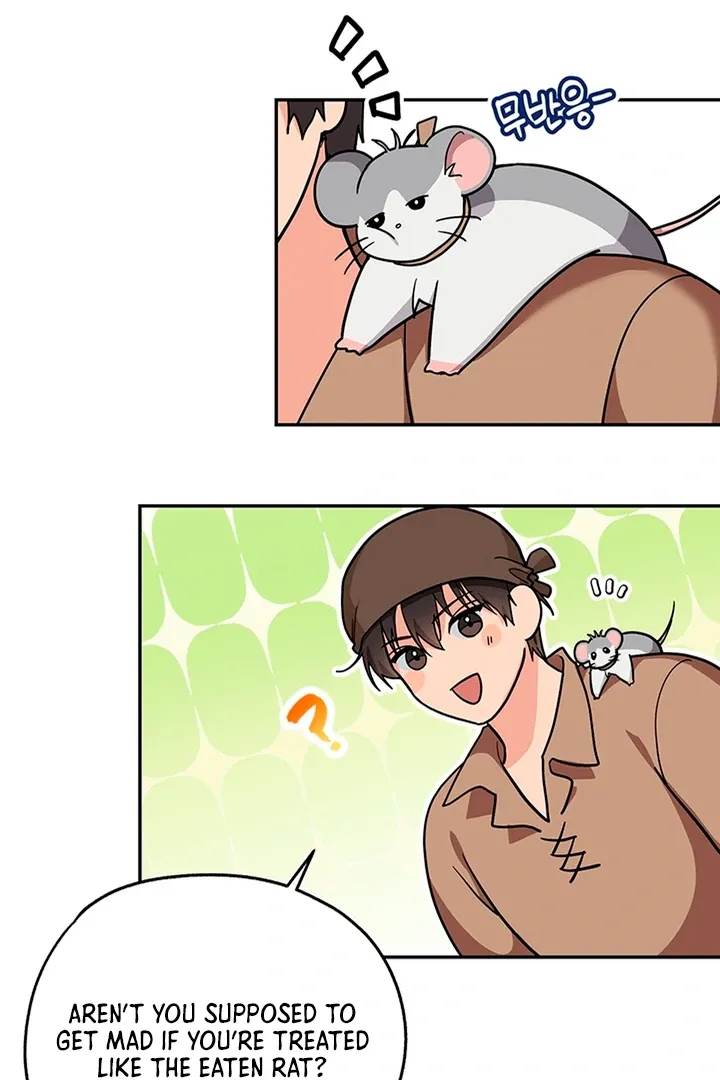 My Rat Is An S-Class Awakener - Chapter 6 Page 48