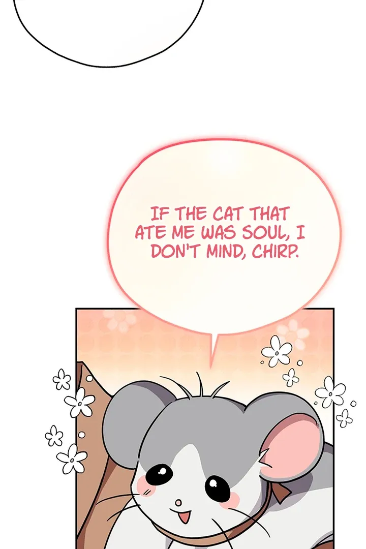 My Rat Is An S-Class Awakener - Chapter 6 Page 49