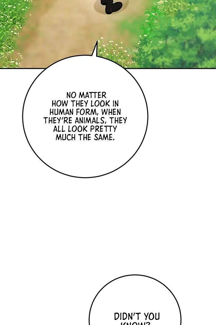 My Rat Is An S-Class Awakener - Chapter 8 Page 19