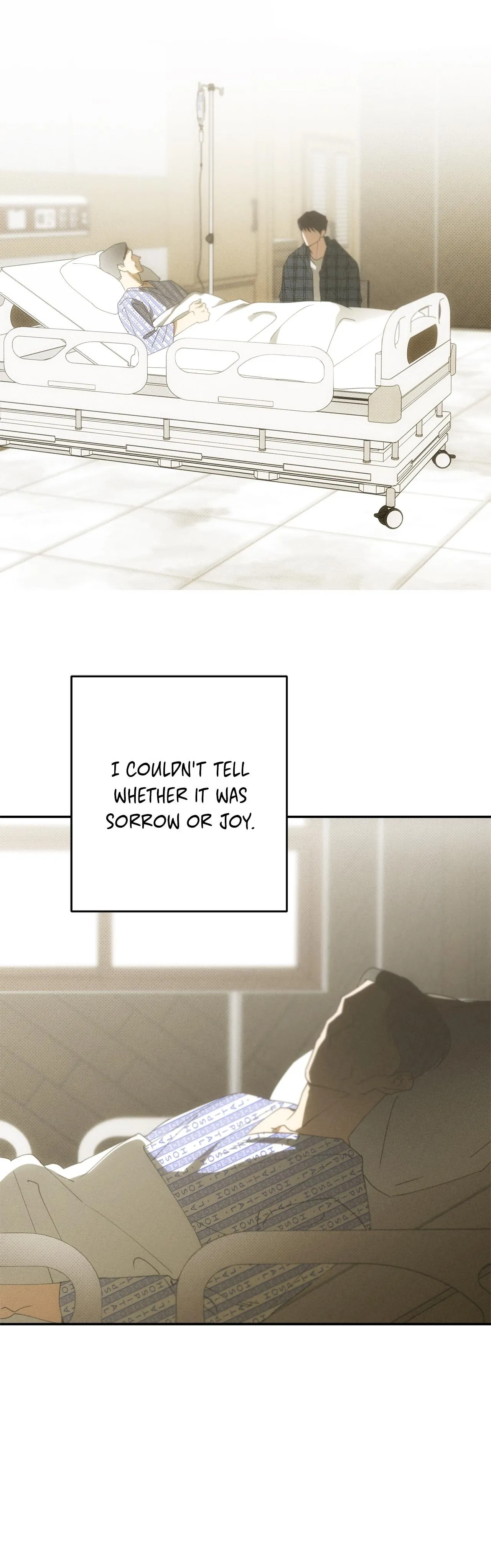Golden Light for You - Chapter 40 Page 14