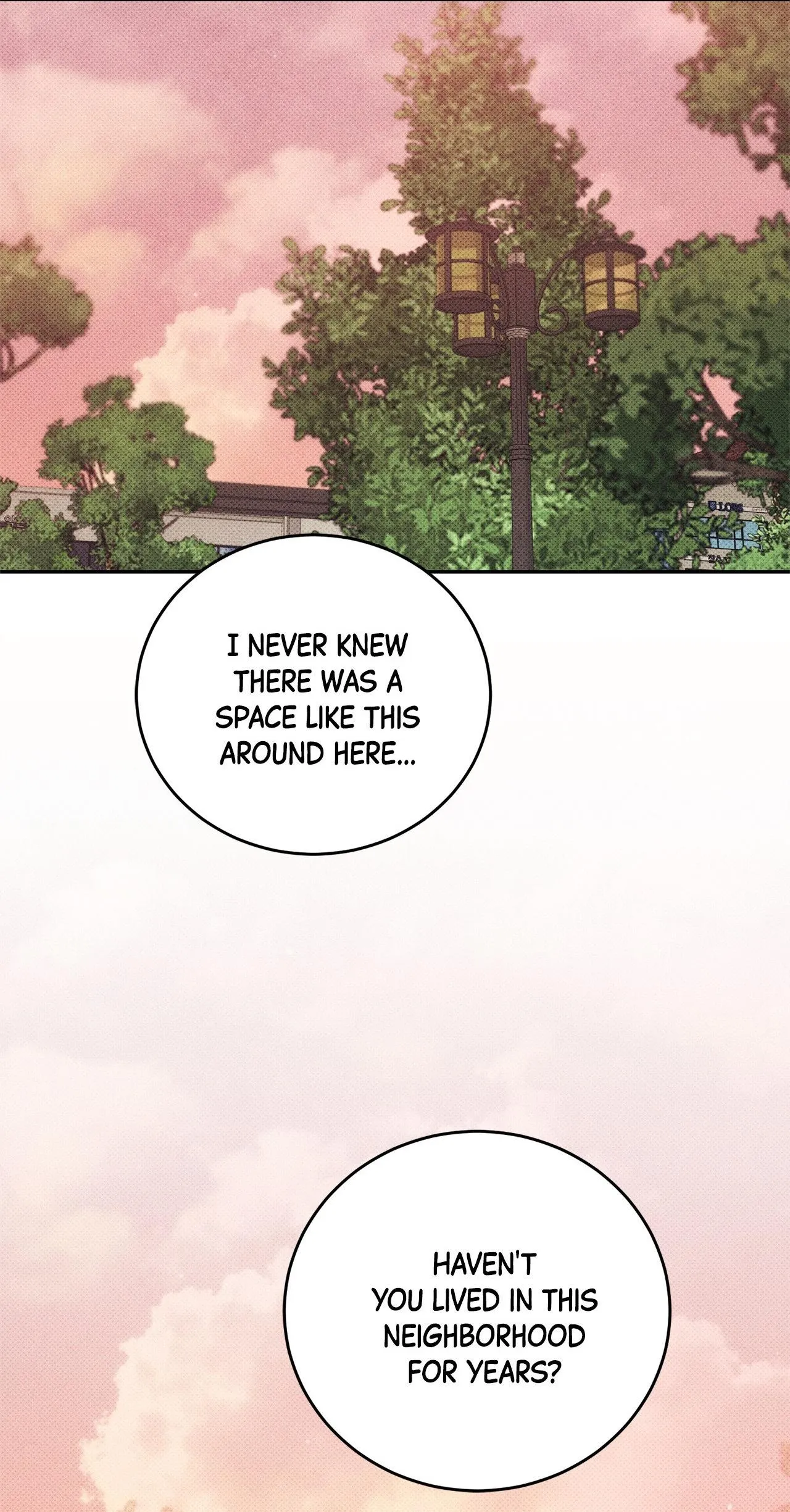 Golden Light for You - Chapter 50 Page 12