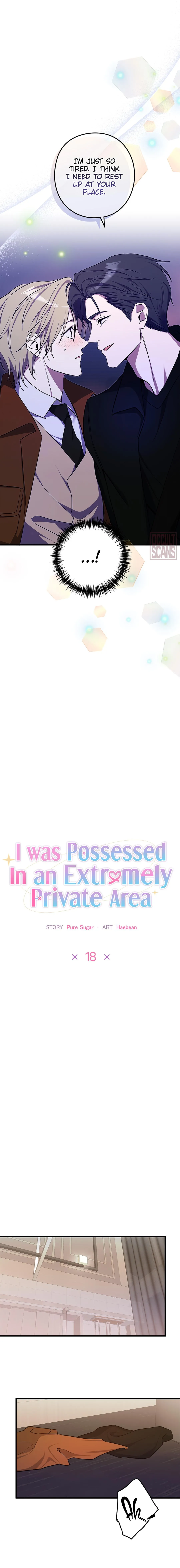 I Was Possessed in an Extremely Private Area - Chapter 18 Page 8