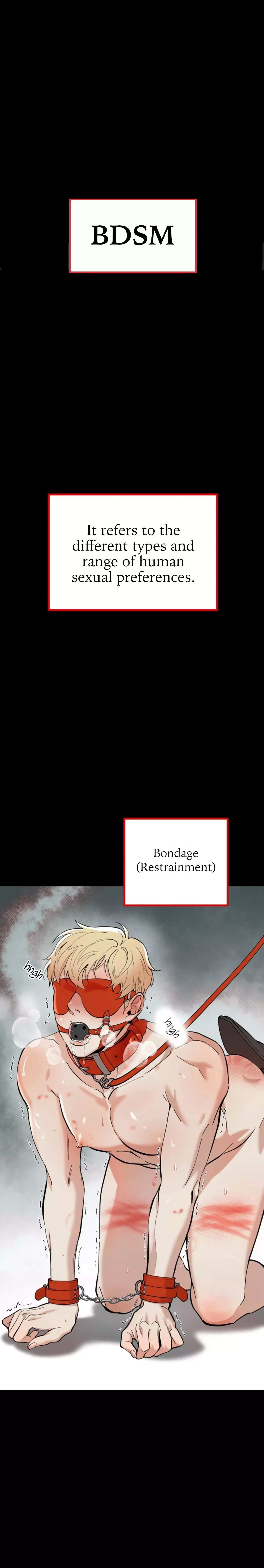 A Basic Guidebook To Bdsm - Chapter 1 Page 1