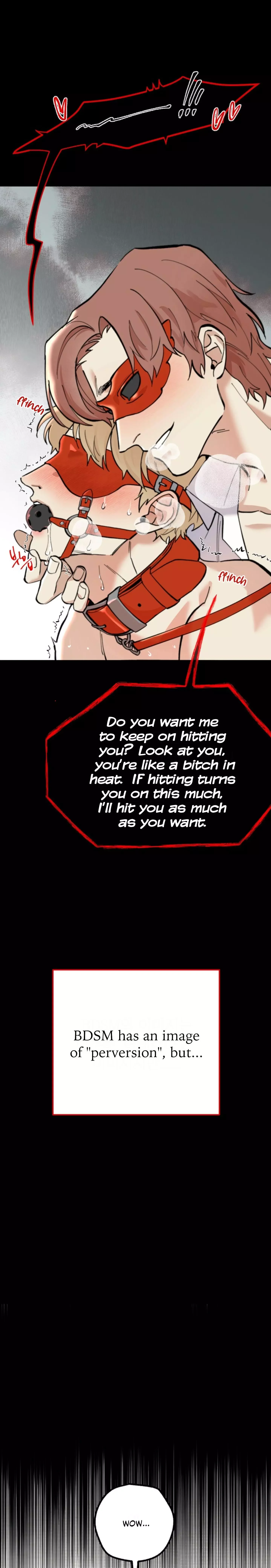 A Basic Guidebook To Bdsm - Chapter 1 Page 3
