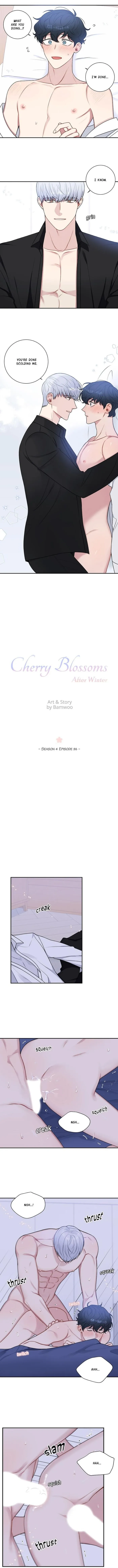 Cherry Blossoms After Winter - Chapter 126 Page 5