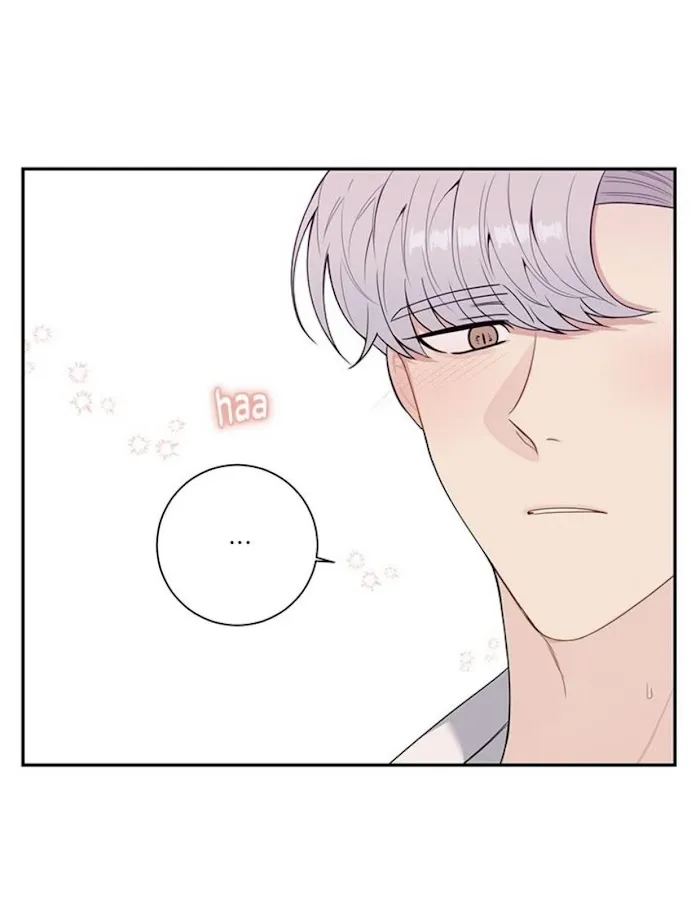 Cherry Blossoms After Winter - Chapter 130 Page 75