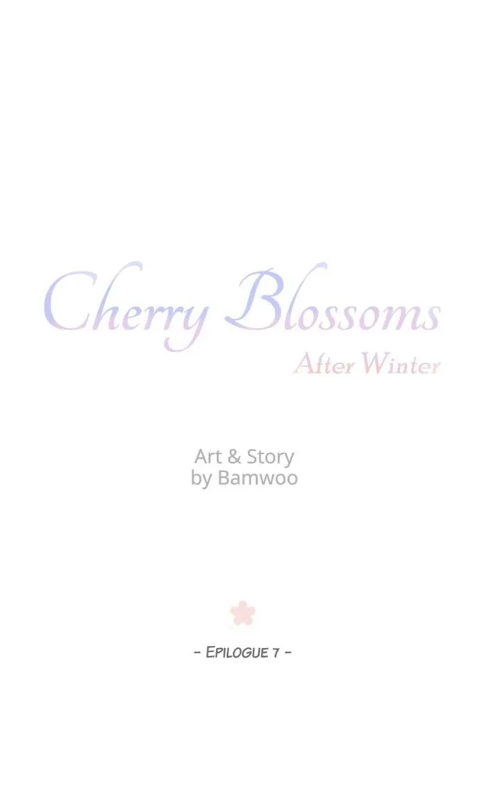 Cherry Blossoms After Winter - Chapter 134 Page 13