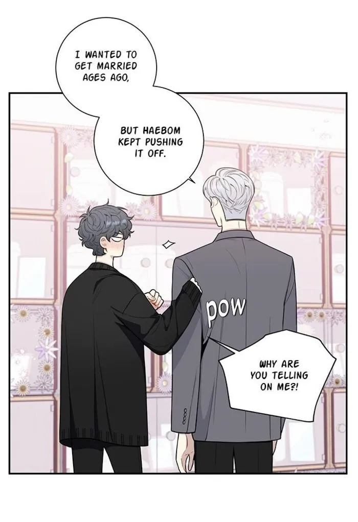 Cherry Blossoms After Winter - Chapter 142 Page 7