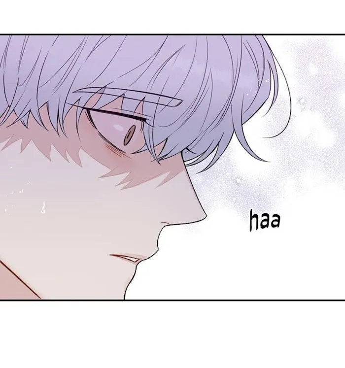 Cherry Blossoms After Winter - Chapter 146 Page 52