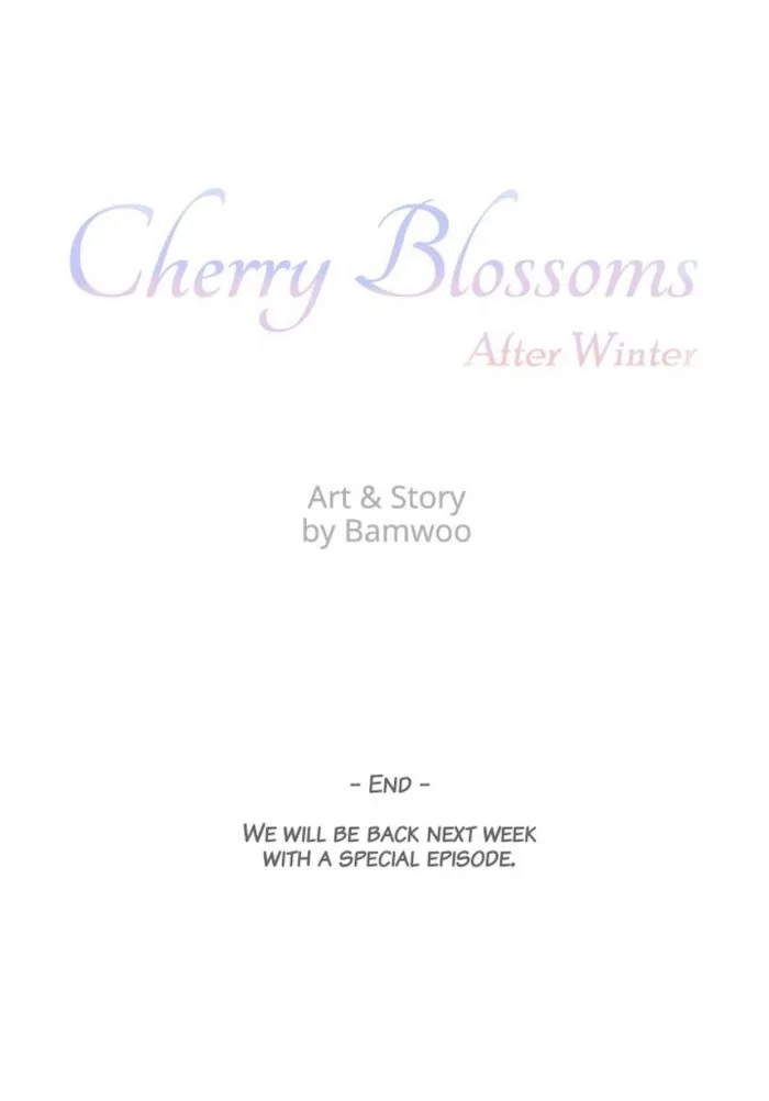 Cherry Blossoms After Winter - Chapter 146 Page 88