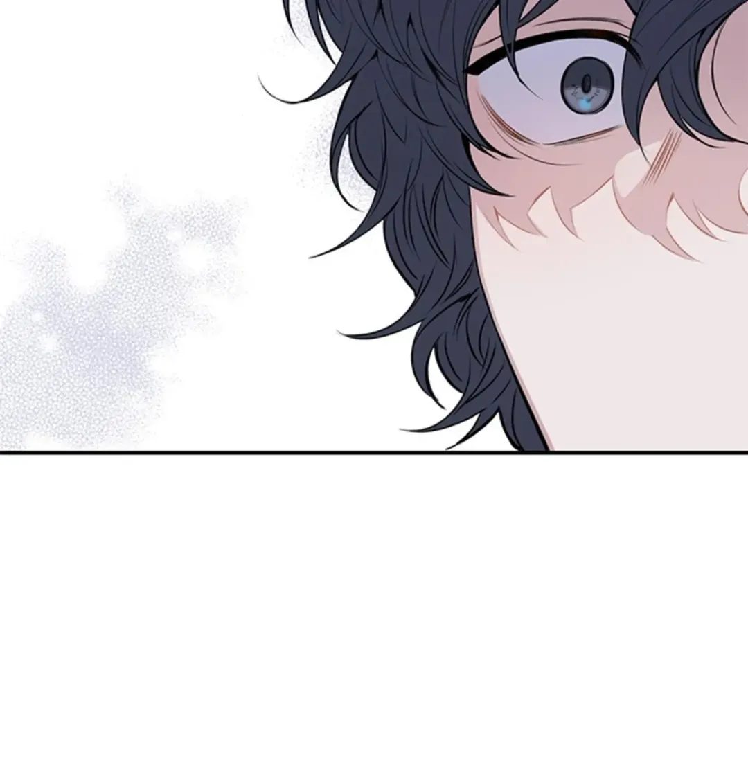 Cherry Blossoms After Winter - Chapter 152 Page 44
