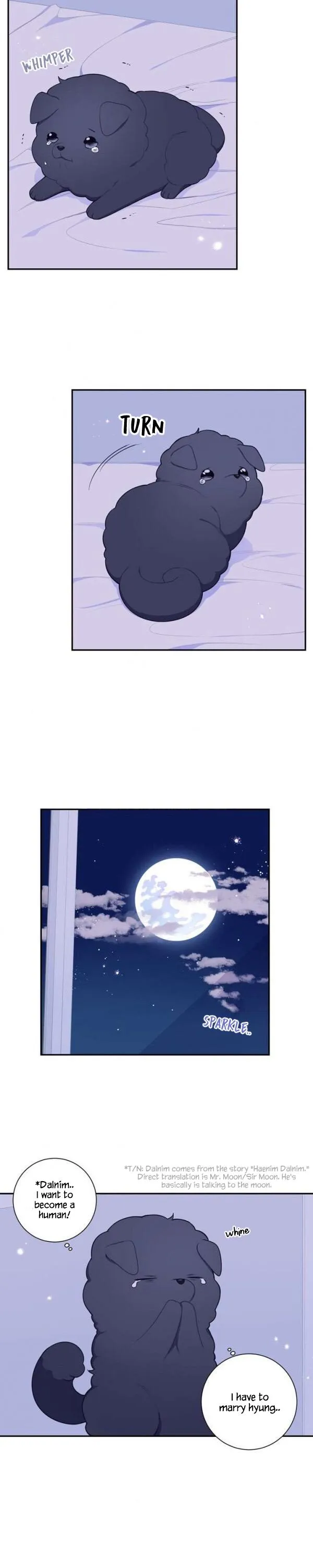 Cherry Blossoms After Winter - Chapter 169.5 Page 14