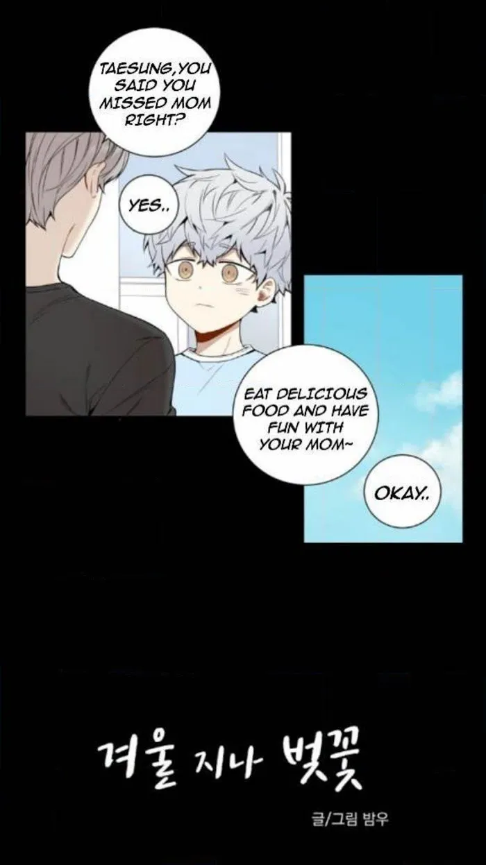 Cherry Blossoms After Winter - Chapter 20 Page 4