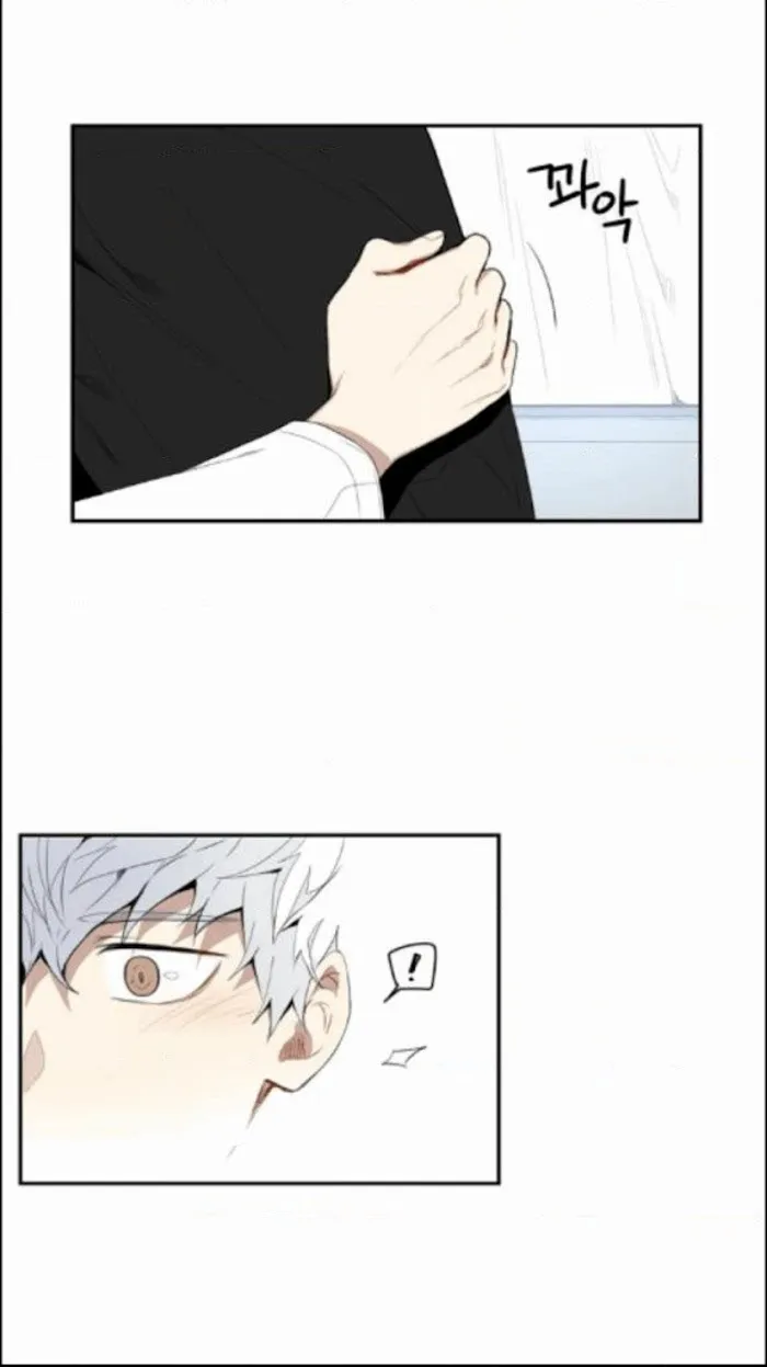 Cherry Blossoms After Winter - Chapter 24 Page 3